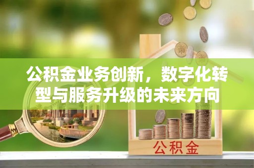 伊吾公积金业务创新，数字化转型与服务升级的未来方向