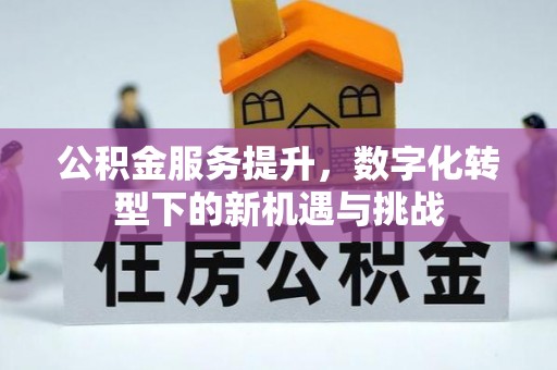 伊吾公积金服务提升，数字化转型下的新机遇与挑战
