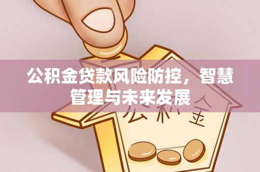 伊吾公积金贷款风险防控，智慧管理与未来发展