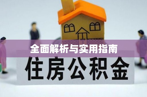 伊吾全面解析与实用指南