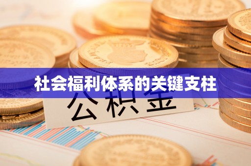 伊吾社会福利体系的关键支柱