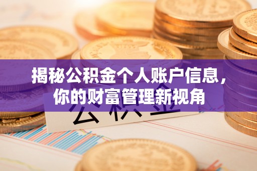 伊吾揭秘公积金个人账户信息，你的财富管理新视角