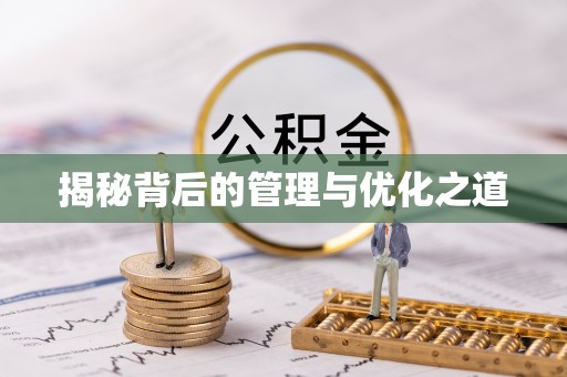 伊吾揭秘背后的管理与优化之道