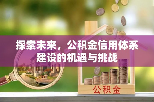 伊吾探索未来，公积金信用体系建设的机遇与挑战