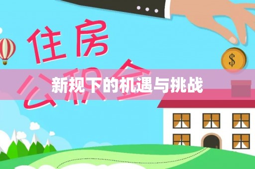 伊吾新规下的机遇与挑战