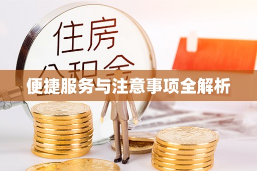 伊吾便捷服务与注意事项全解析