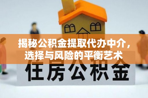 伊吾揭秘公积金提取代办中介，选择与风险的平衡艺术
