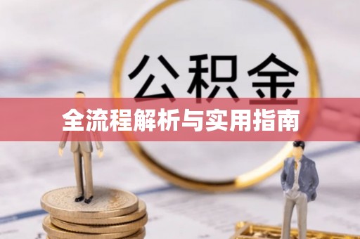 伊吾全流程解析与实用指南